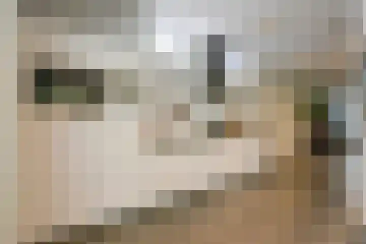 Goedestraat 114 Utrecht thumbnail 7