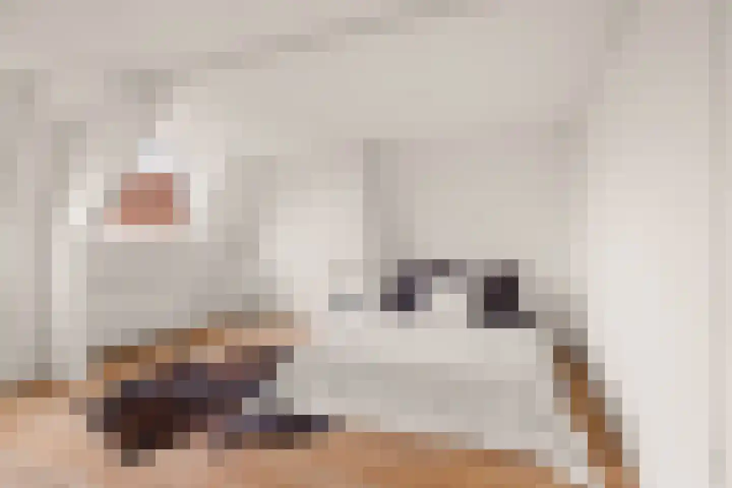 Goedestraat 120 BS Utrecht thumbnail 20