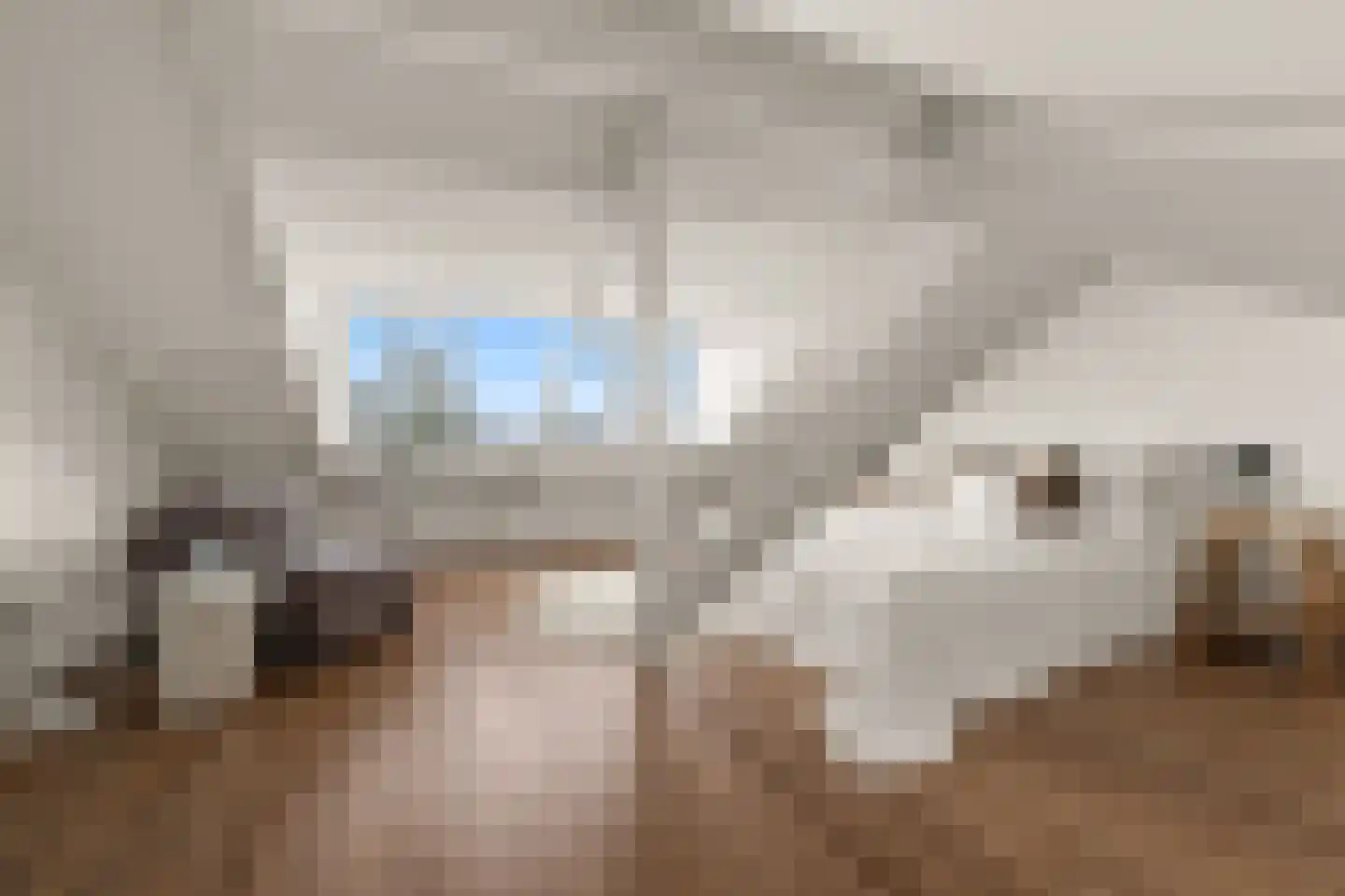 Goedestraat 120 BS Utrecht thumbnail 37
