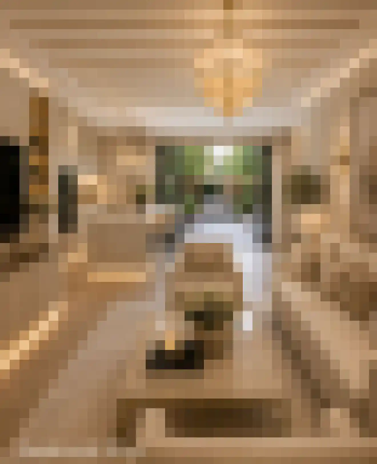 Goedestraat 128 Utrecht thumbnail 4