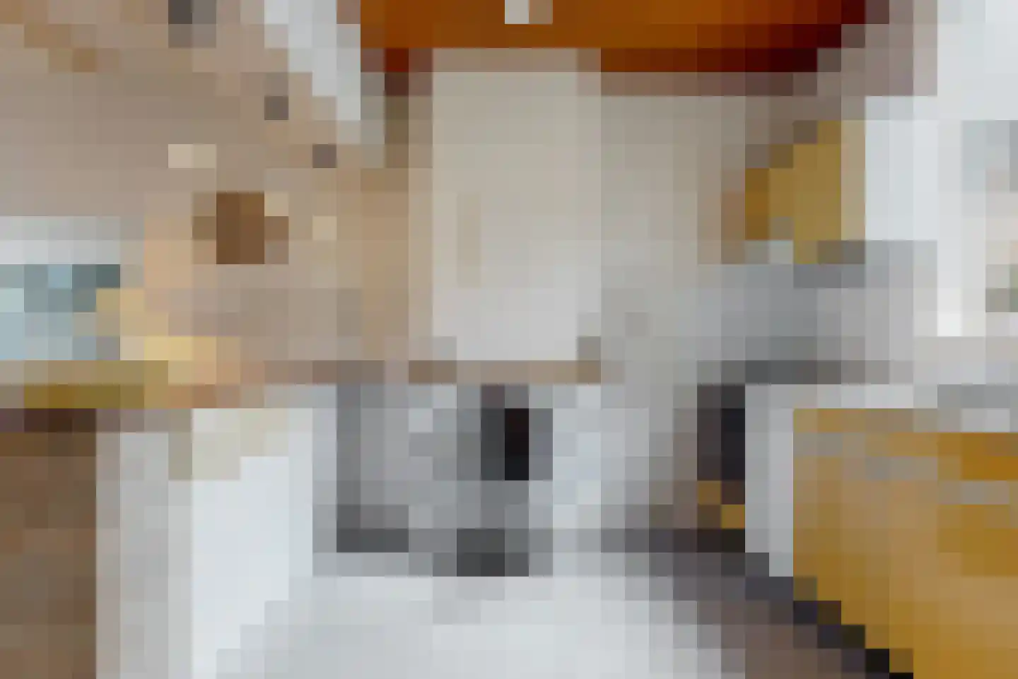 Goedestraat 128 Utrecht thumbnail 9