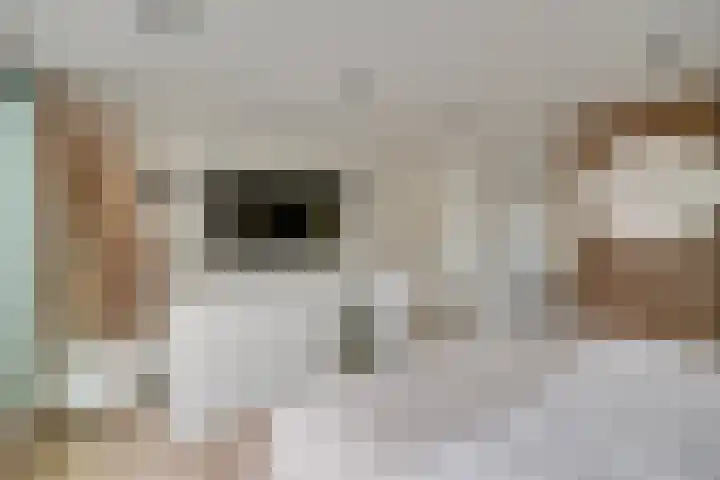 Goedestraat 135 Utrecht thumbnail 36