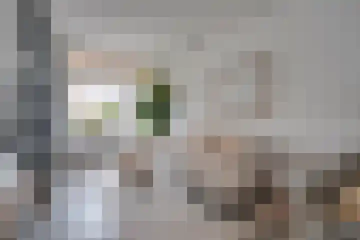 Goedestraat 135 Utrecht thumbnail 6