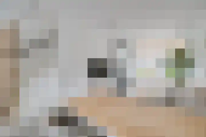 Goedestraat 135 Utrecht thumbnail 7