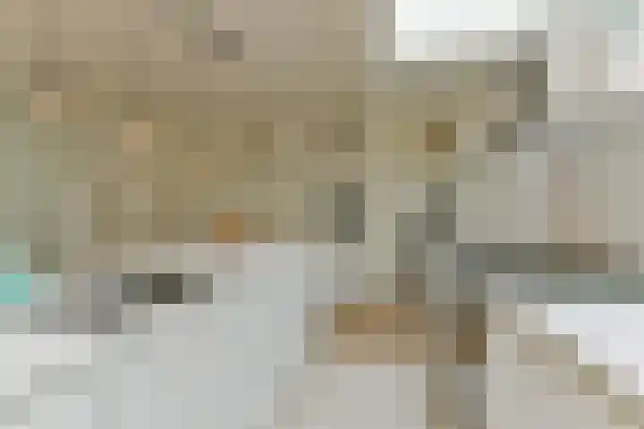 Goedestraat 33 Utrecht thumbnail 12
