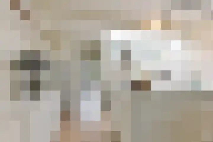 Goedestraat 33 Utrecht thumbnail 18