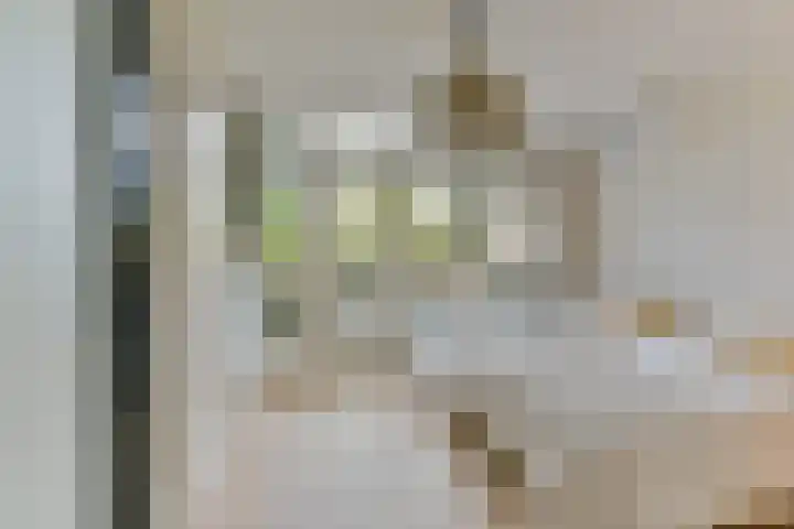 Goedestraat 33 Utrecht thumbnail 19