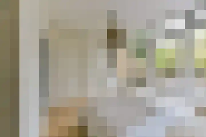 Goedestraat 33 Utrecht thumbnail 23