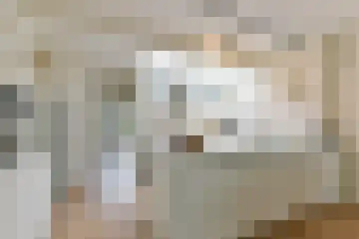 Goedestraat 33 Utrecht thumbnail 8