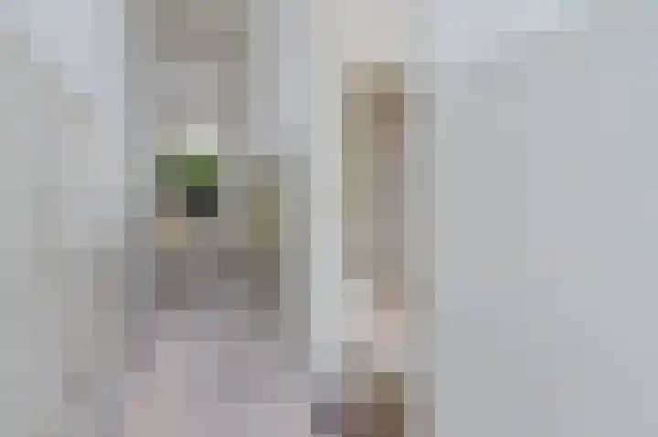 Goedestraat 35 Utrecht thumbnail 4