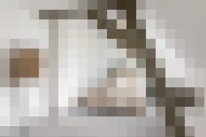 Goedestraat 5 Utrecht thumbnail 10