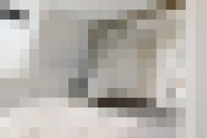 Goedestraat 5 Utrecht thumbnail 11