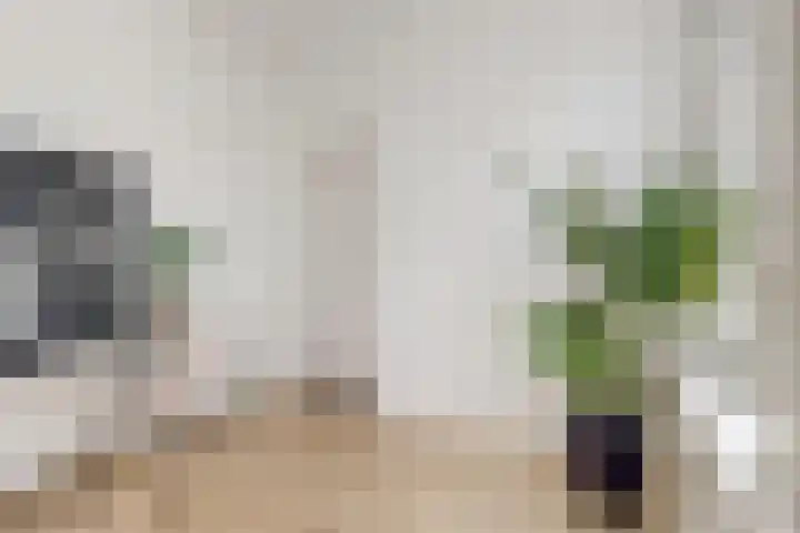 Goedestraat 5 Utrecht thumbnail 17