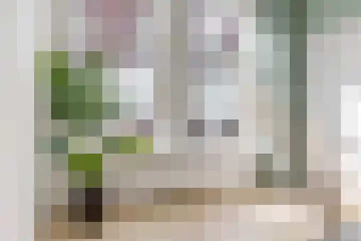 Goedestraat 5 Utrecht thumbnail 18
