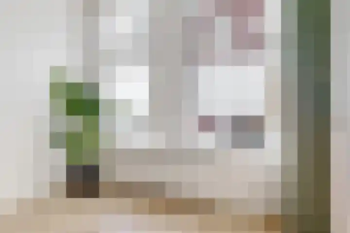 Goedestraat 5 Utrecht thumbnail 19