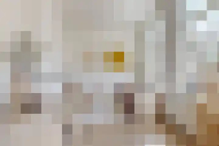 Goedestraat 5 Utrecht thumbnail 4