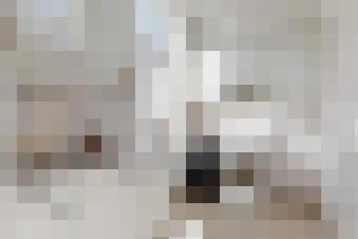 Goedestraat 5 Utrecht thumbnail 7