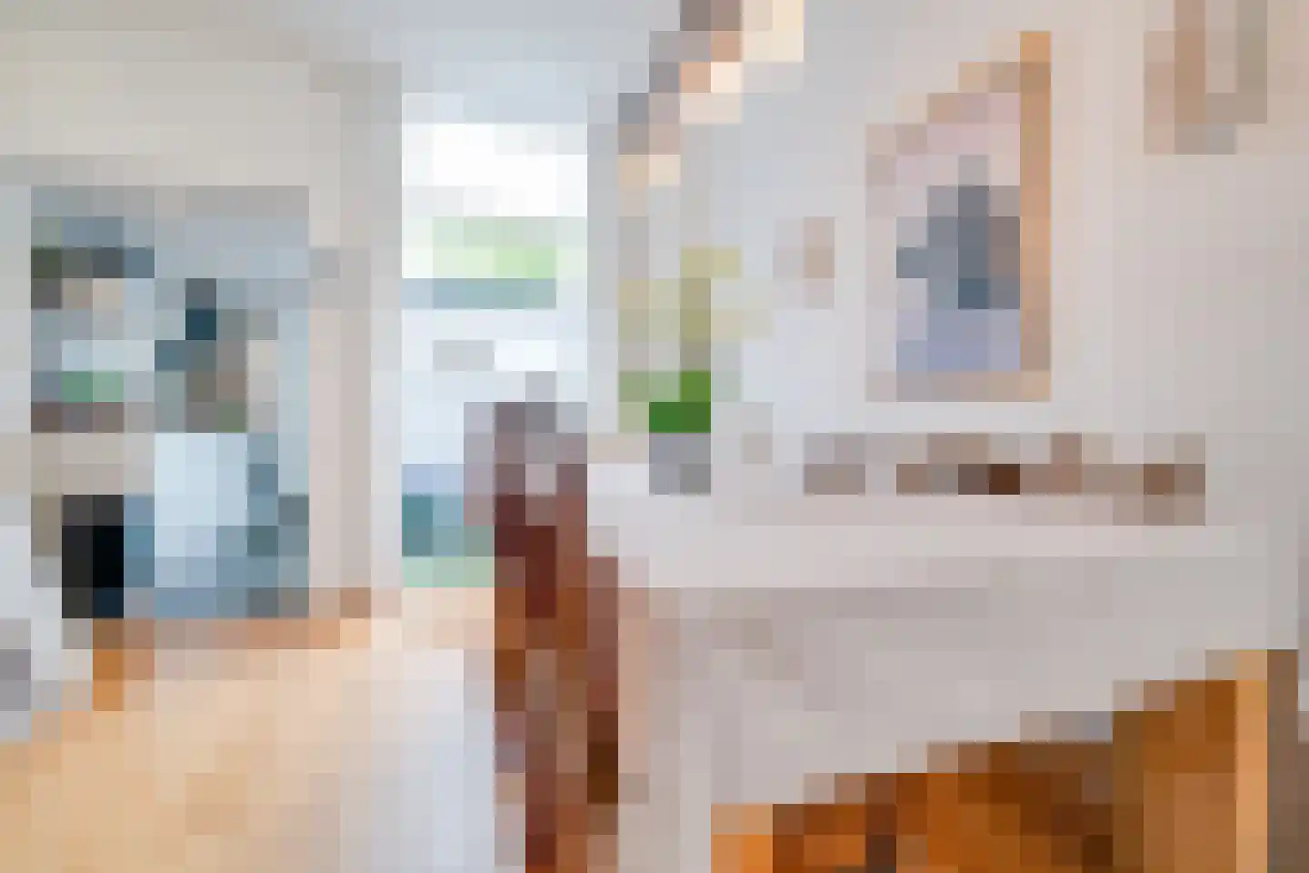 Goedestraat 58 Utrecht thumbnail 11