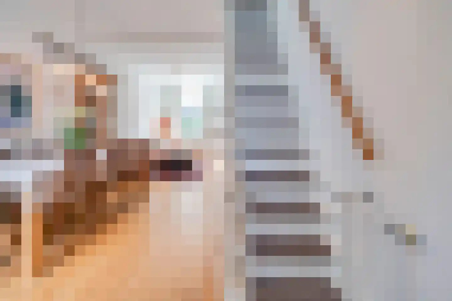 Goedestraat 58 Utrecht thumbnail 16