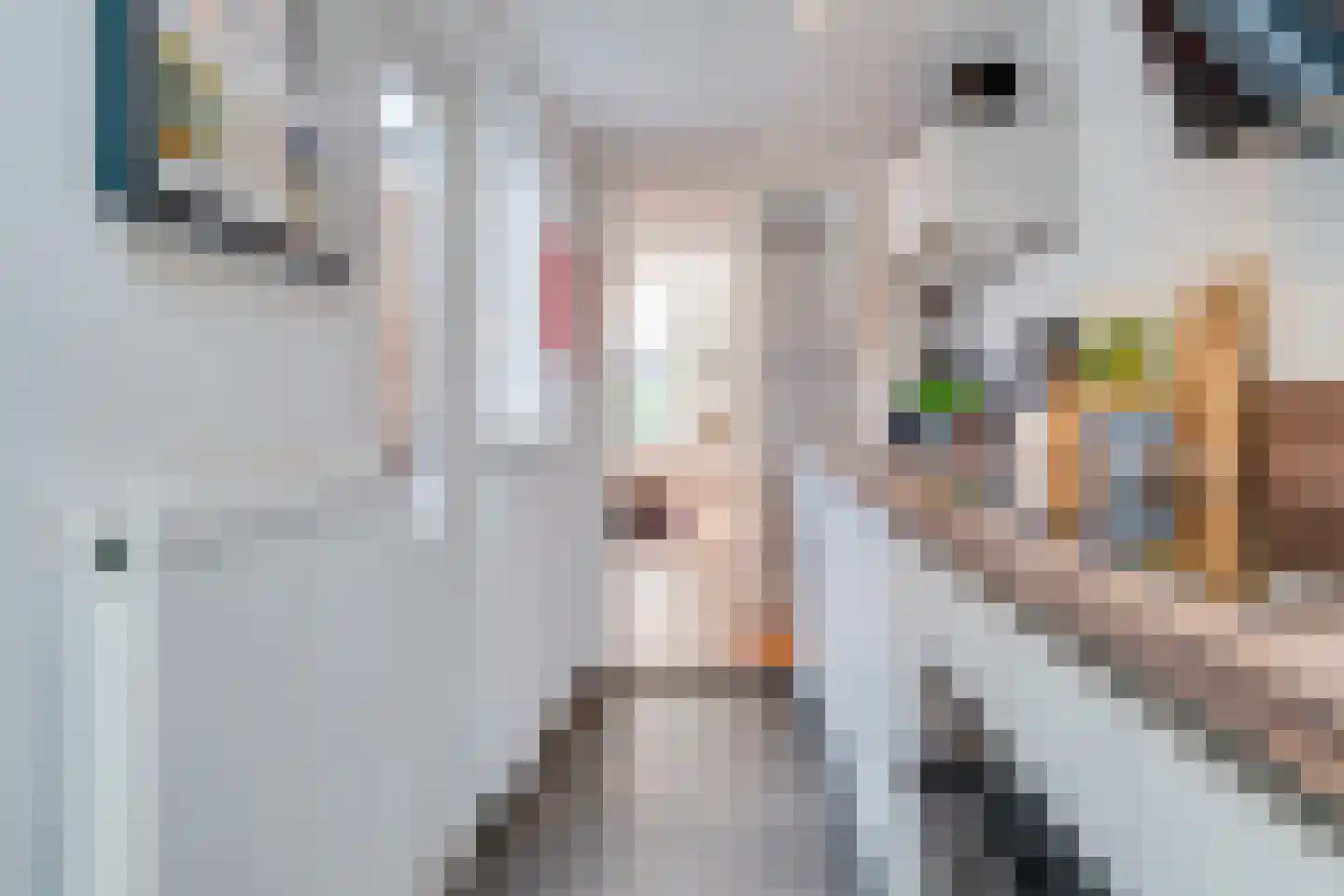Goedestraat 58 Utrecht thumbnail 19