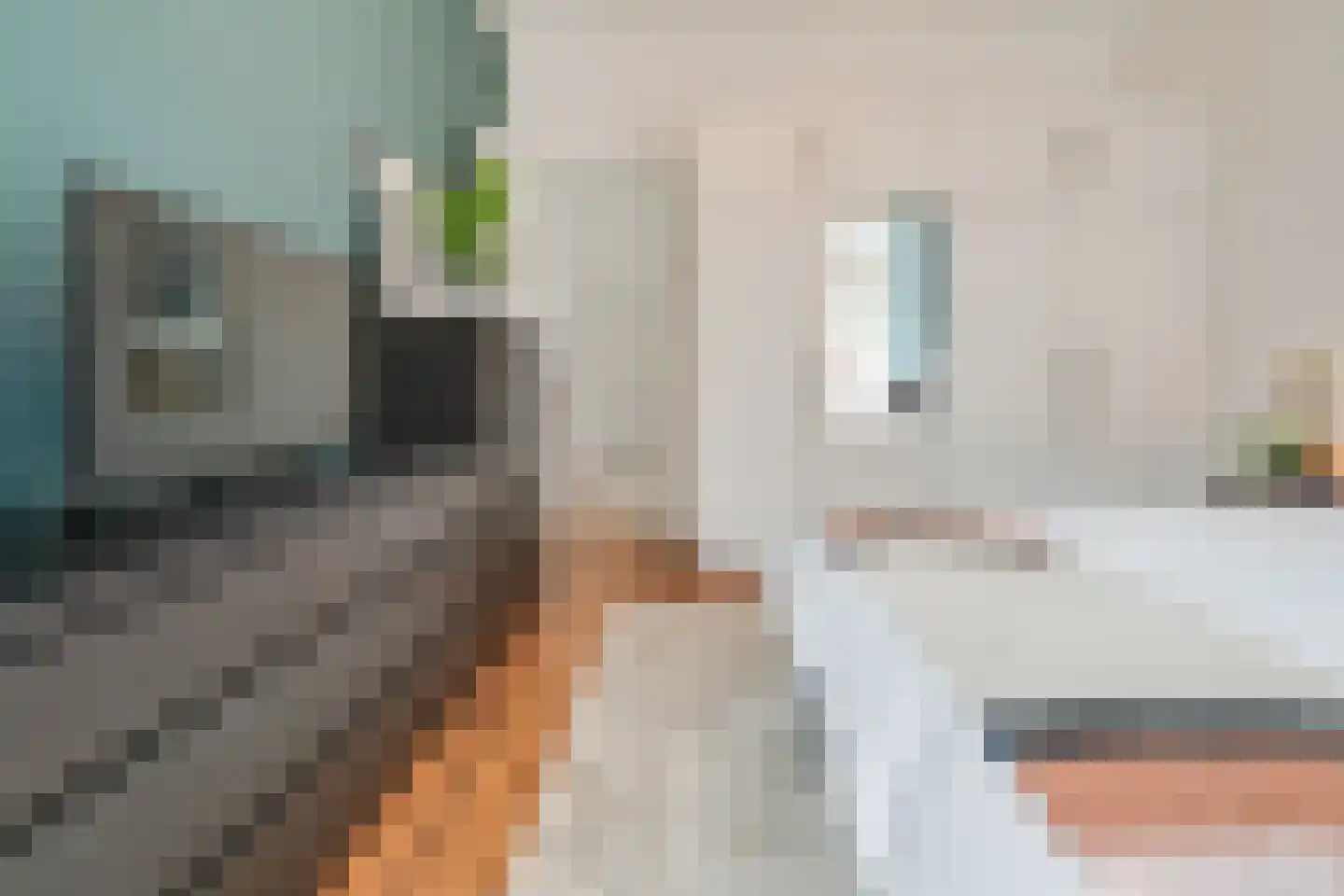Goedestraat 58 Utrecht thumbnail 21