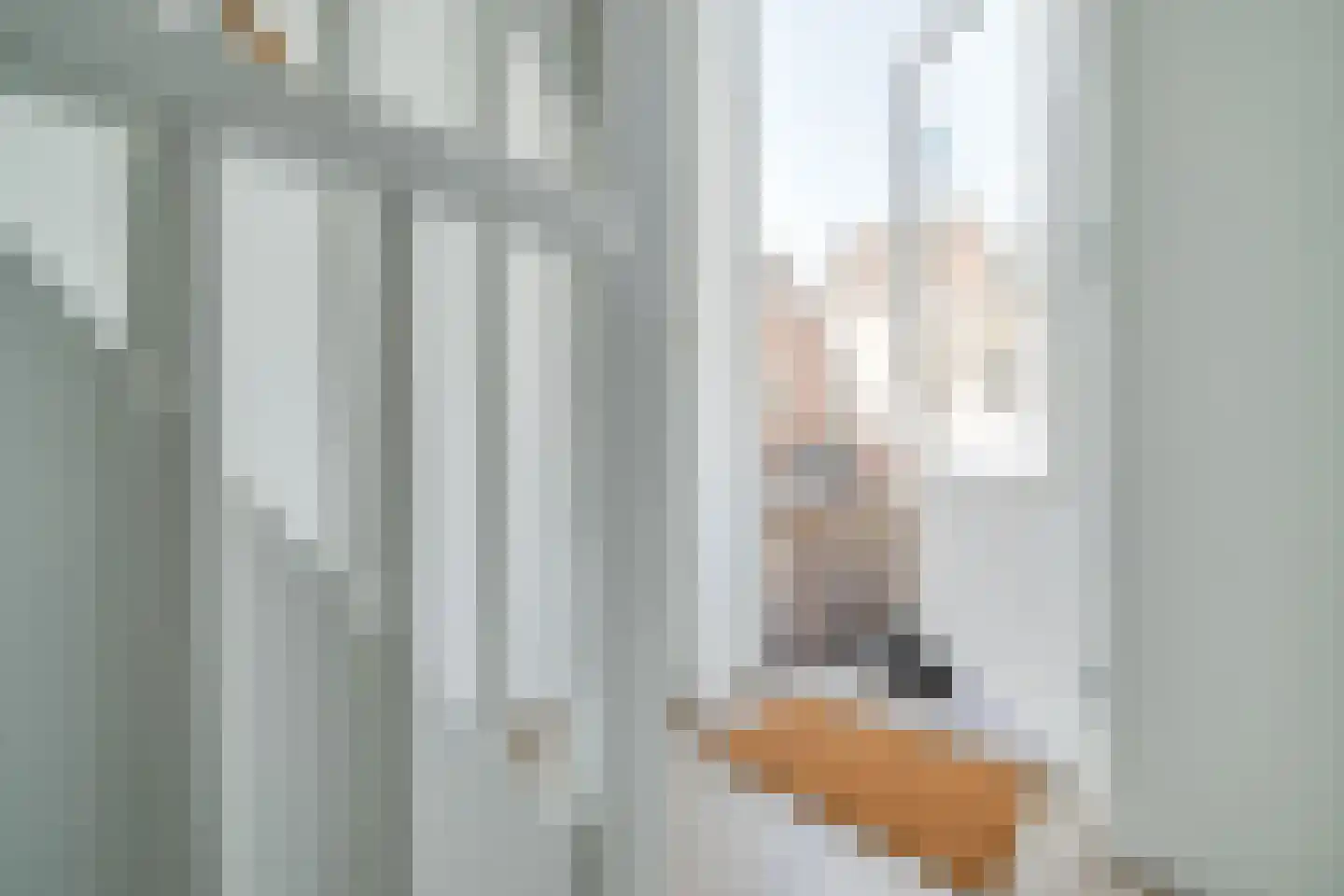 Goedestraat 58 Utrecht thumbnail 26