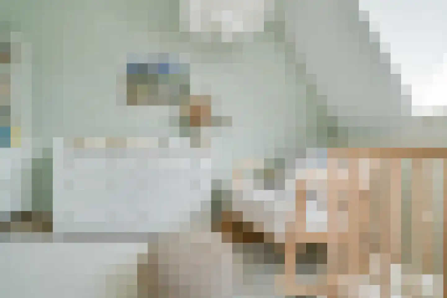 Goedestraat 58 Utrecht thumbnail 35