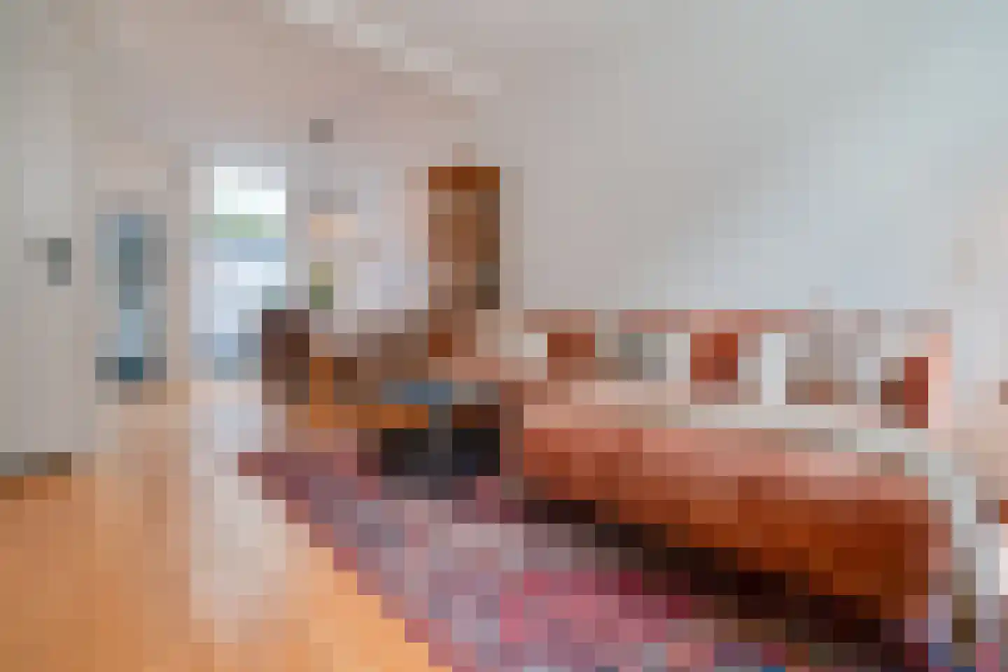 Goedestraat 58 Utrecht thumbnail 8