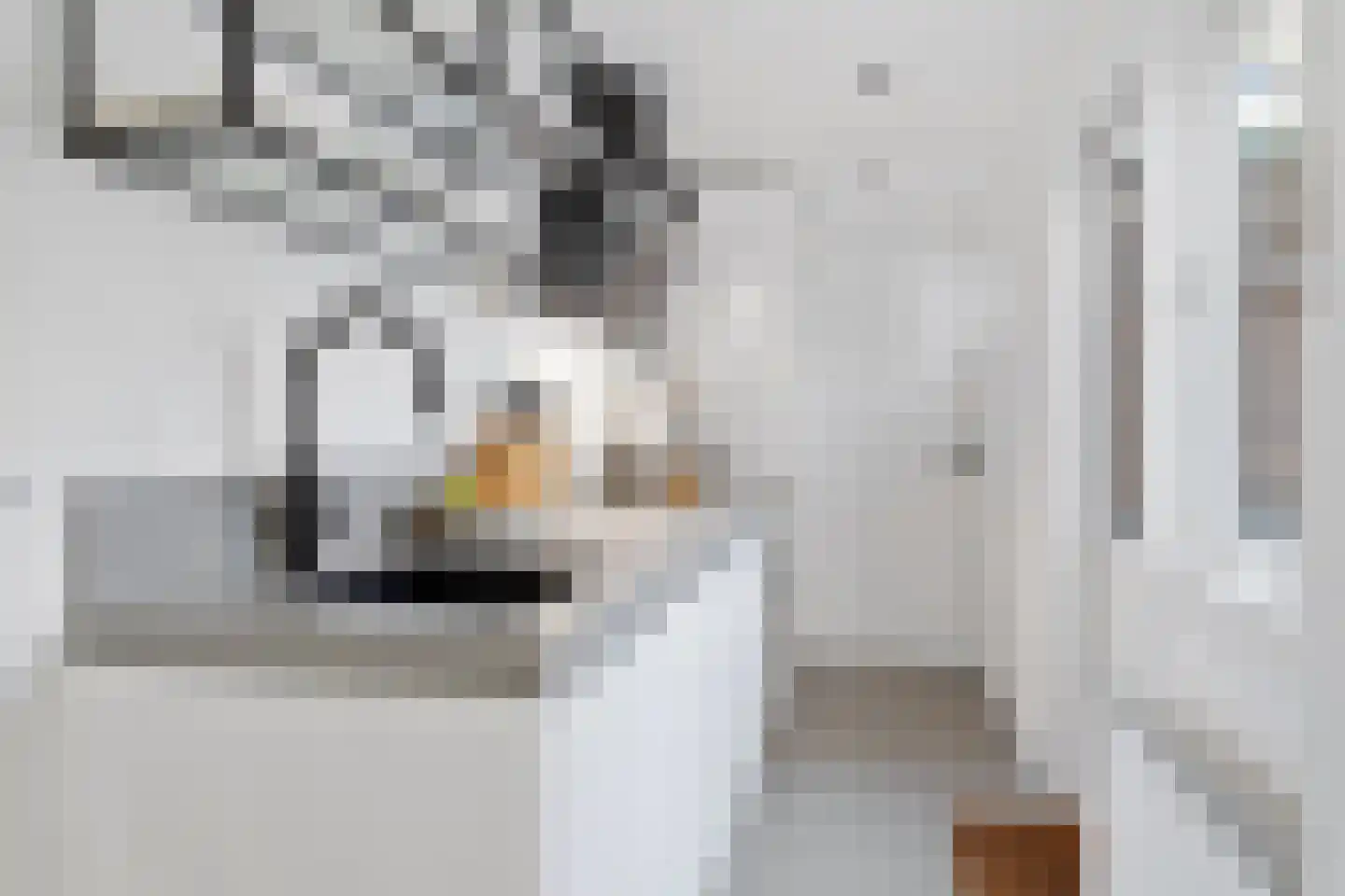 Goedestraat 60 Utrecht thumbnail 15