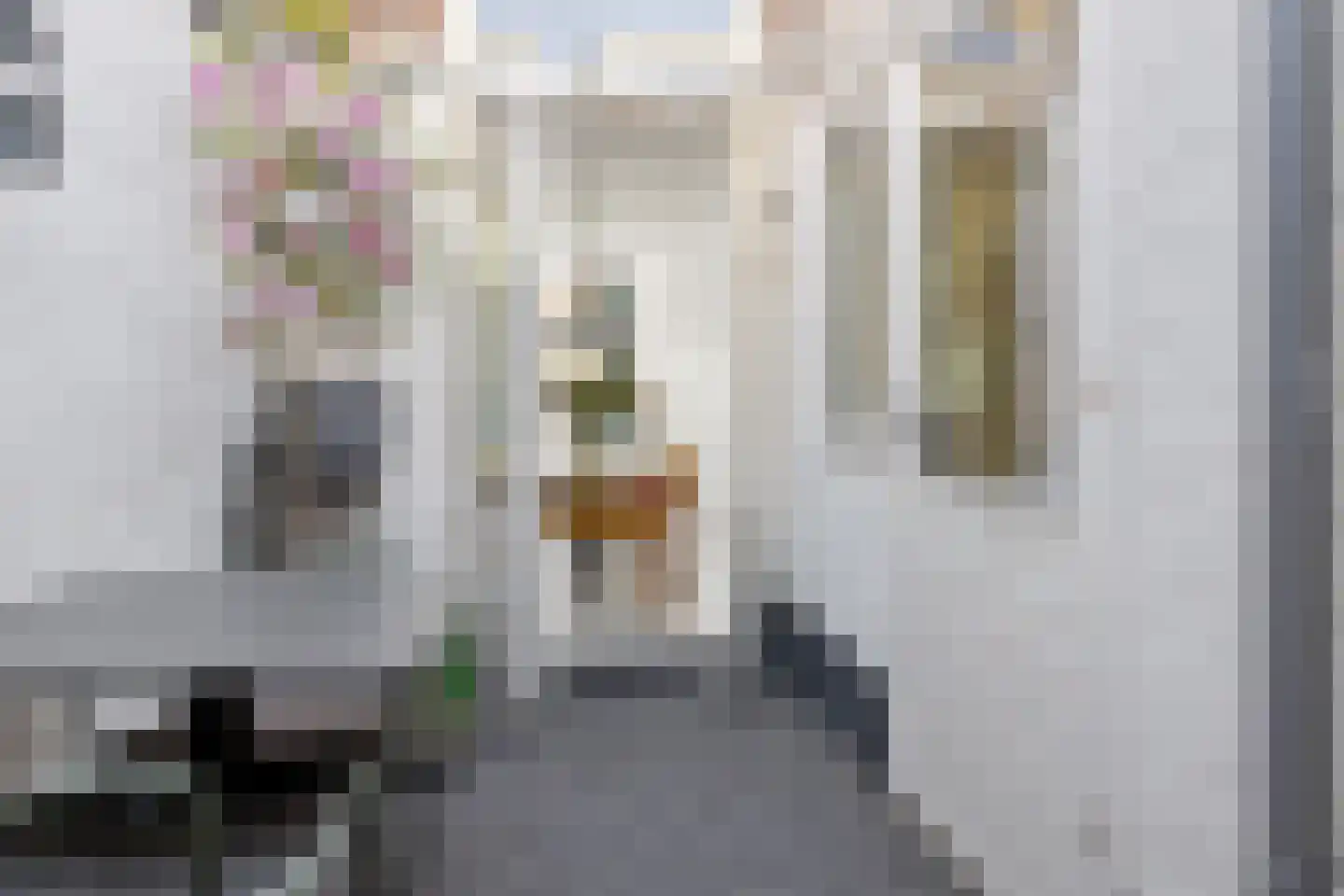 Goedestraat 60 Utrecht thumbnail 19