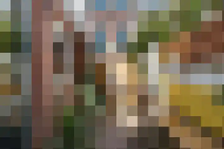 Goedestraat 74 Utrecht thumbnail 12
