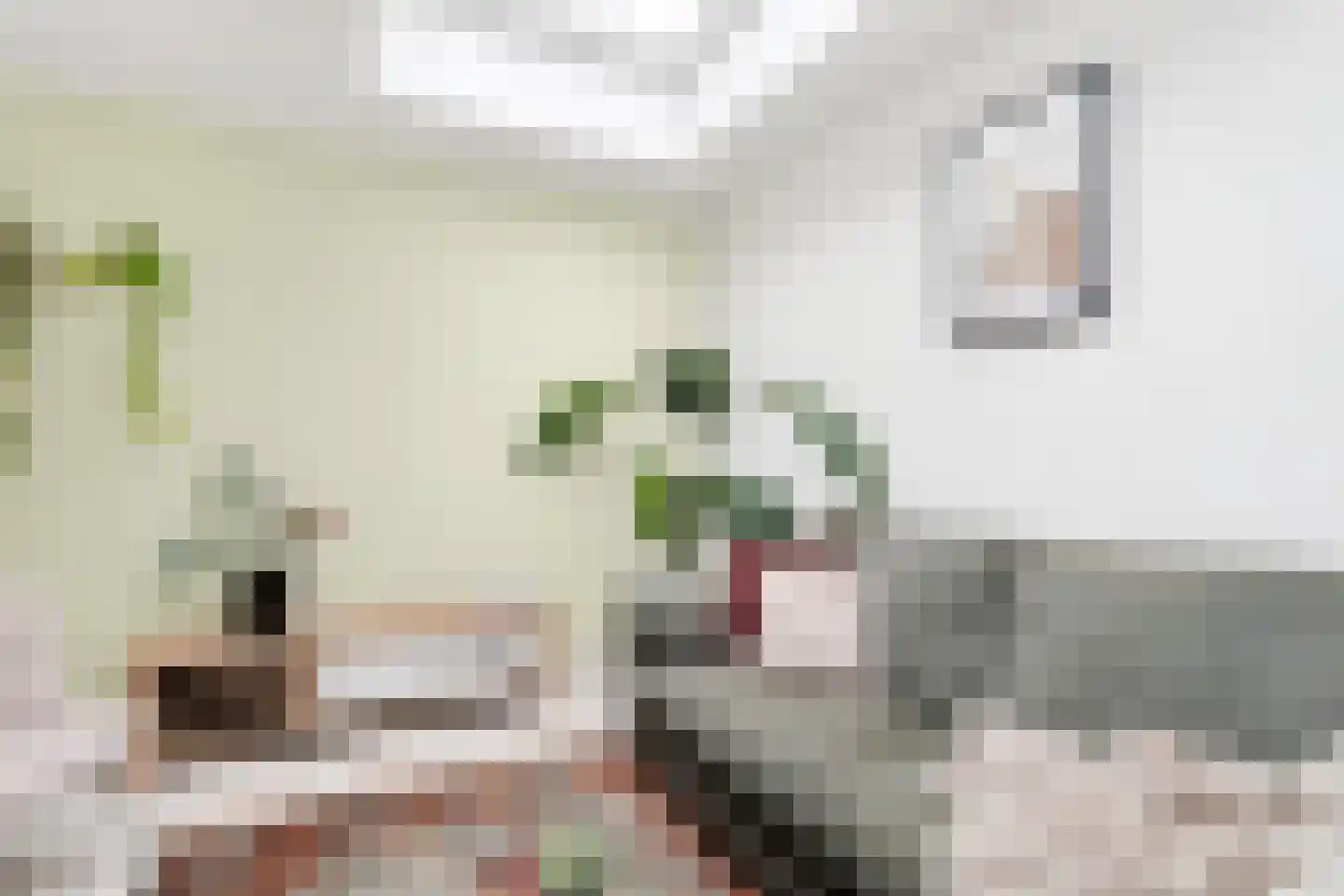 Goedestraat 96 Utrecht thumbnail 13
