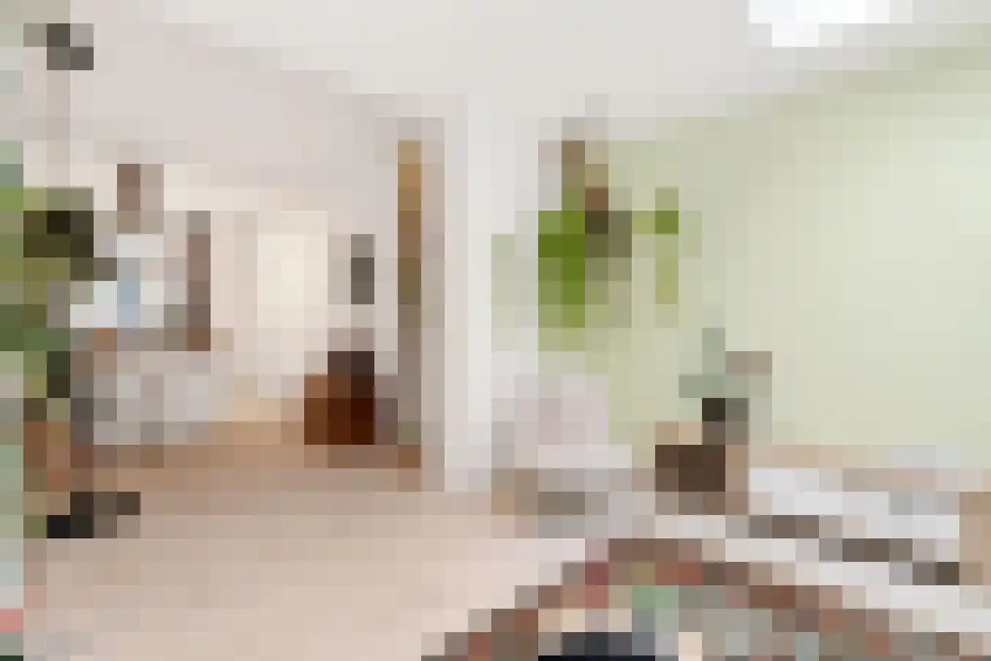 Goedestraat 96 Utrecht thumbnail 14