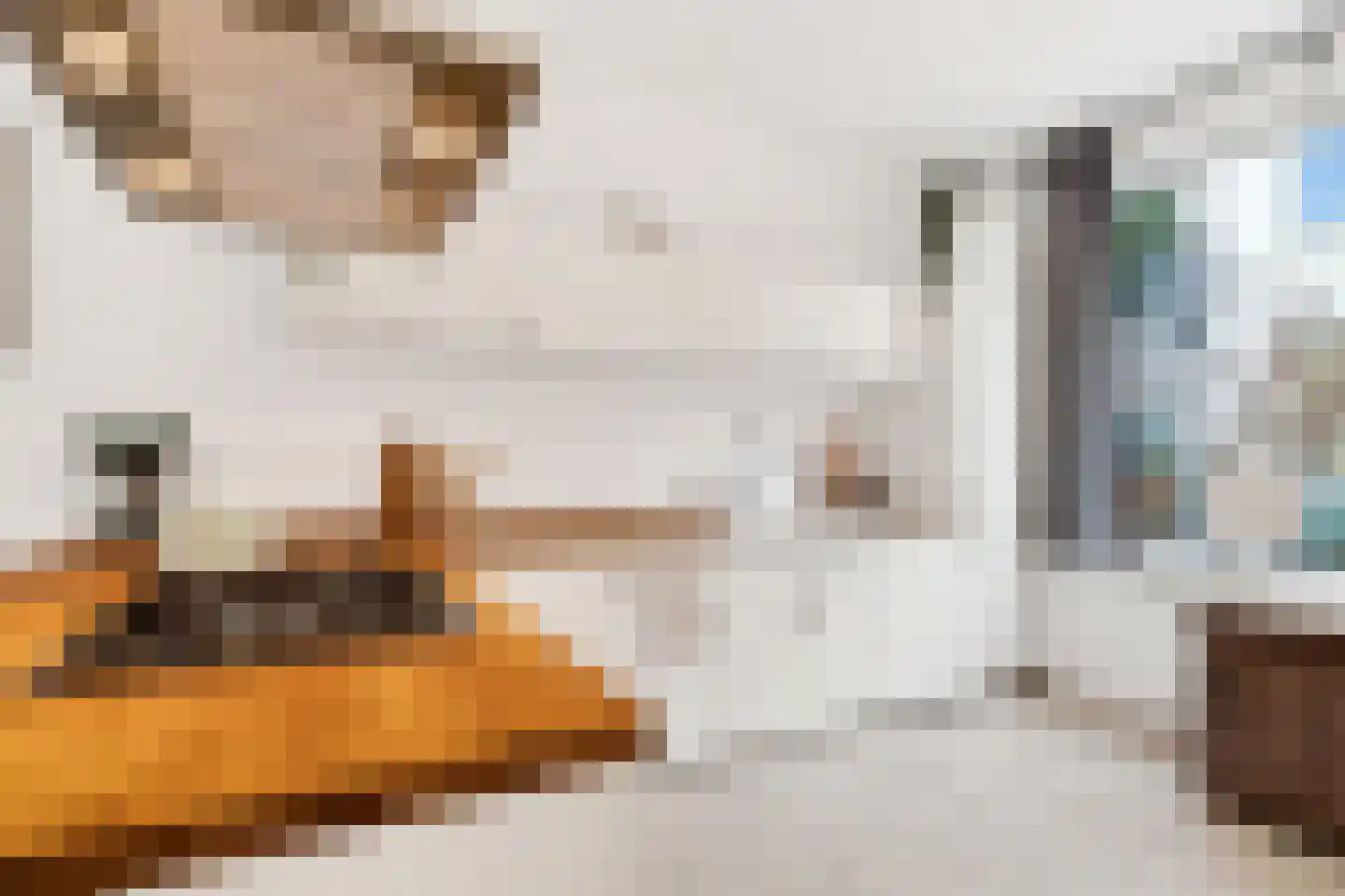 Goedestraat 96 Utrecht thumbnail 20