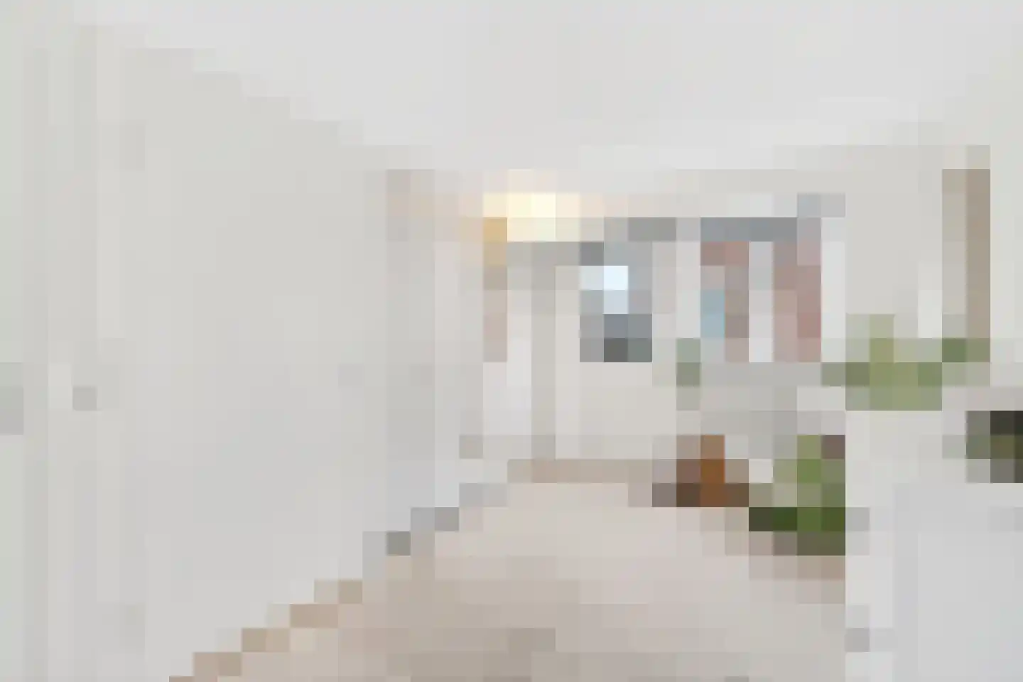 Goedestraat 96 Utrecht thumbnail 25