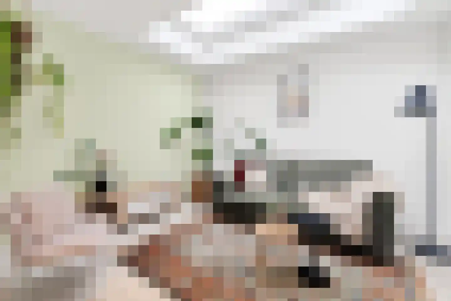 Goedestraat 96 Utrecht thumbnail 4