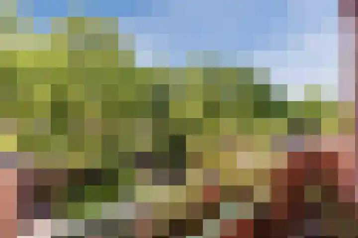 Goedewerf 111 Almere thumbnail 13