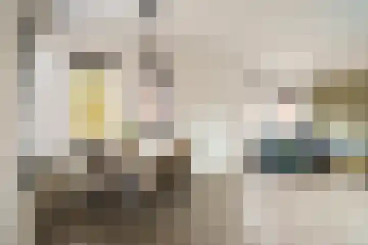 Goedewerf 32 Almere thumbnail 4