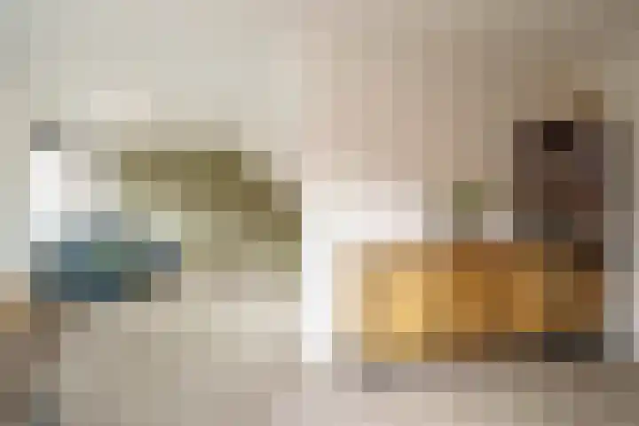 Goedewerf 32 Almere thumbnail 5