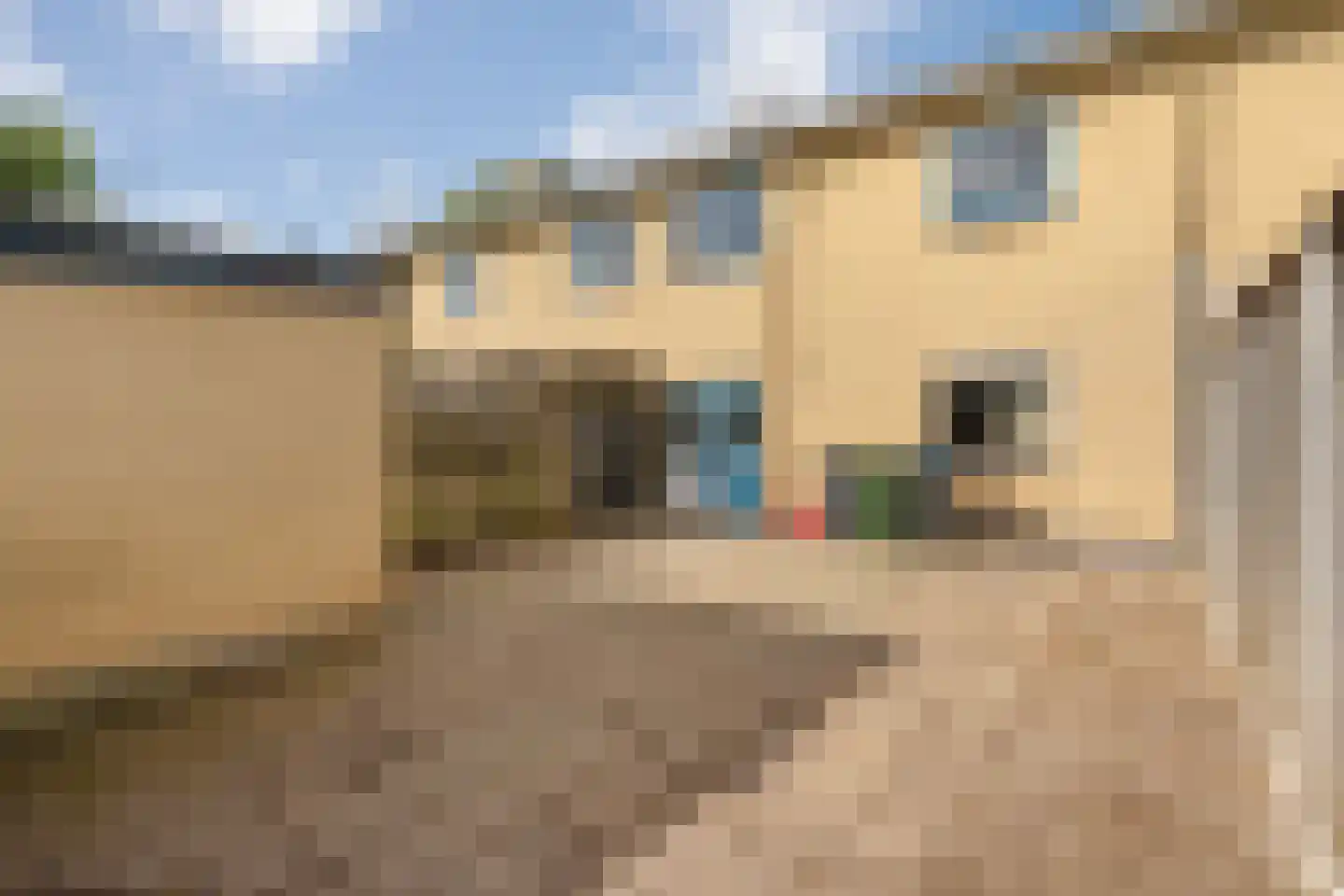 Goedharthof 7 Almelo thumbnail 19