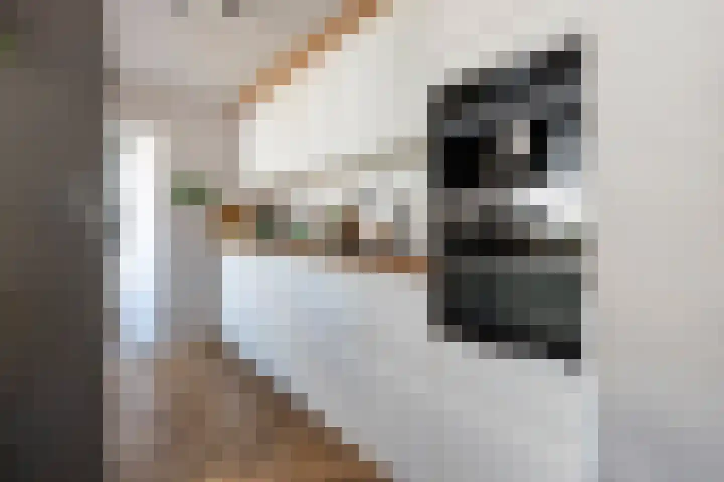 Goedkoopstraat 2 Klijndijk thumbnail 12