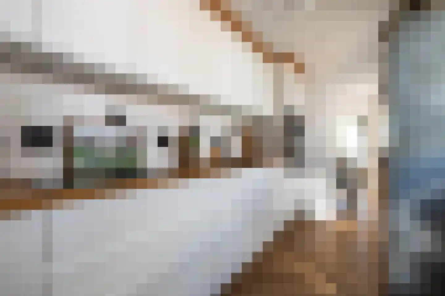 Goedkoopstraat 2 Klijndijk thumbnail 13