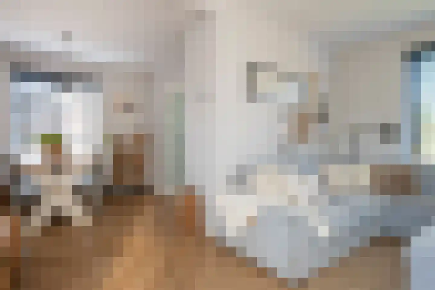 Goedkoopstraat 2 Klijndijk thumbnail 7