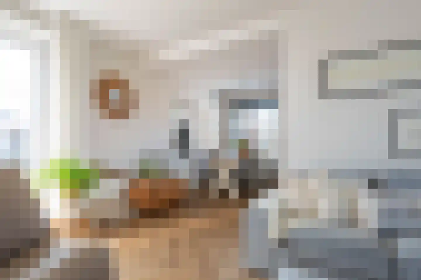 Goedkoopstraat 2 Klijndijk thumbnail 8