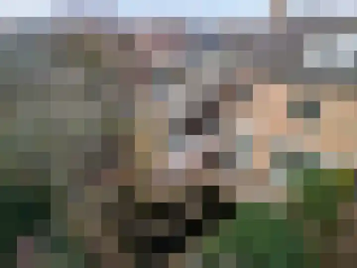 Goedroenstraat 1 Amersfoort thumbnail 37