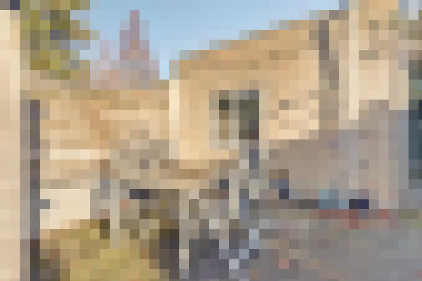 Goedroenstraat 38 Amersfoort thumbnail 38
