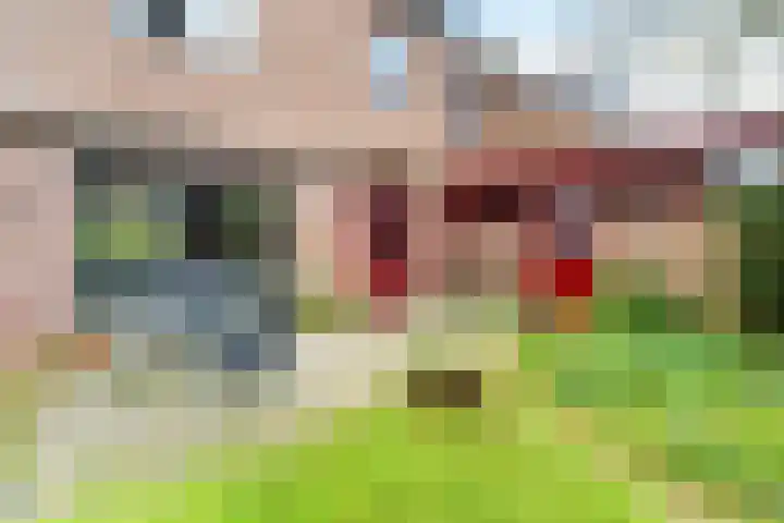 Goedroenstraat 7 Amersfoort thumbnail 13
