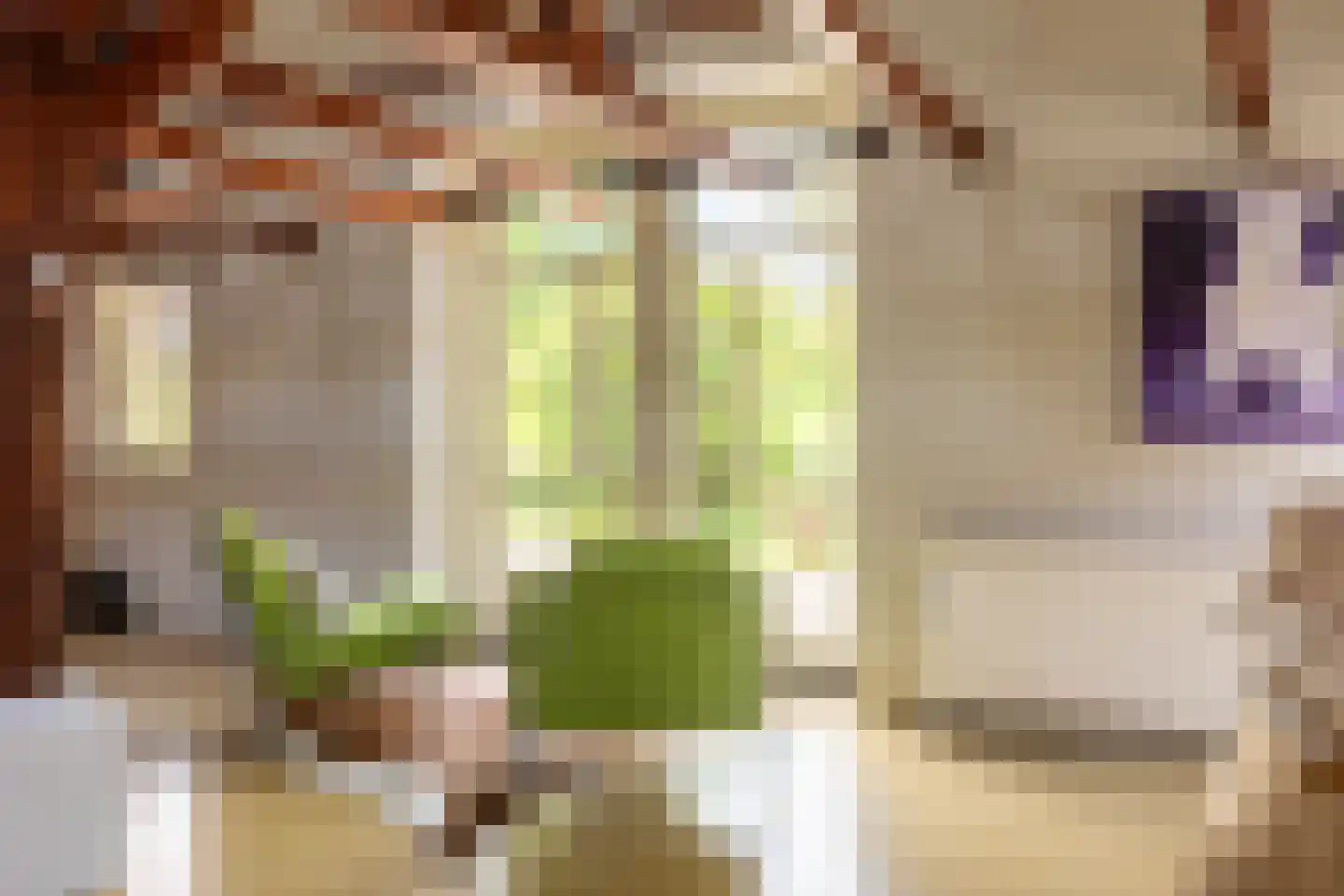 Goejanverwelle 11 Hekendorp thumbnail 26