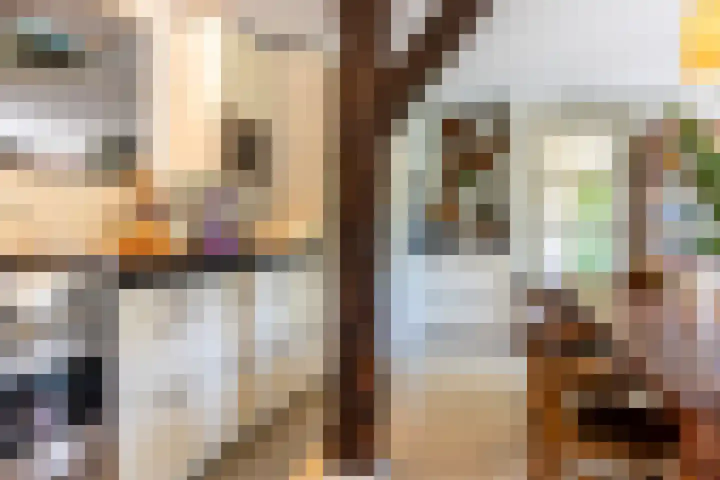 Goejanverwelle 11 Hekendorp thumbnail 28