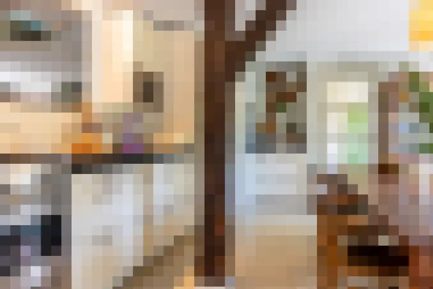 Goejanverwelle 11 Hekendorp thumbnail 29